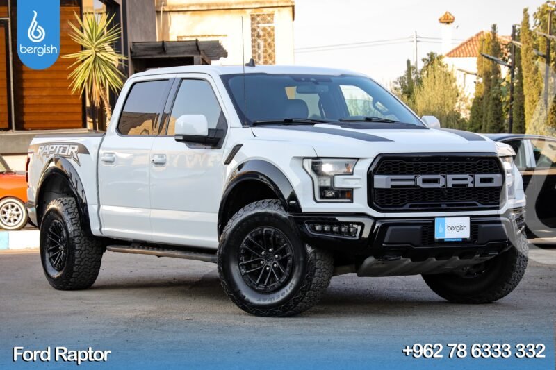 FORD F-150 RAPTOR PERFORMANCE 2019